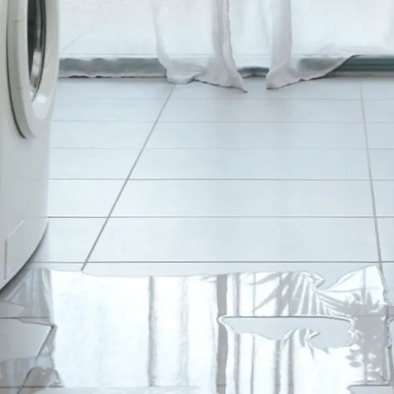 Appliance Leak Cleanup in Hampshire County, WV