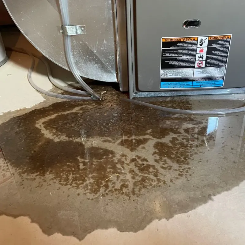 Pipe Burst and Leak Restoration in Hampshire County, WV