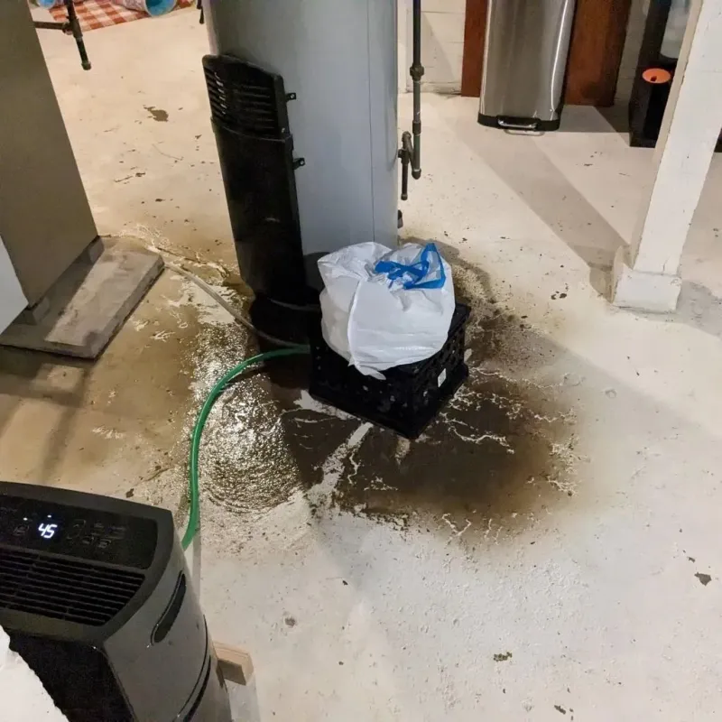 Sewage Backup Cleanup Service in Hampshire County, WV